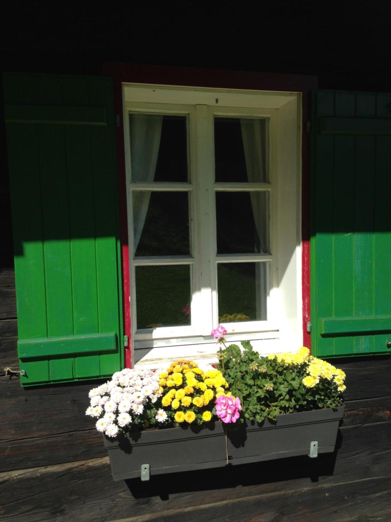 Ferienhaus Trausibauer 슈타인츠 외부 사진